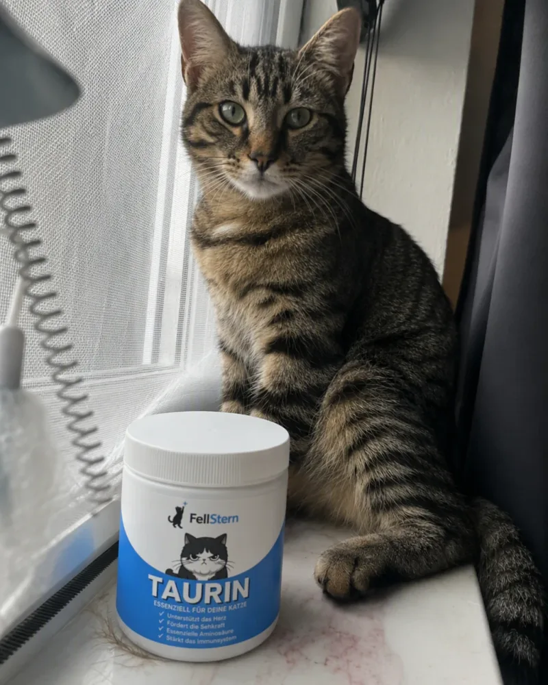 Katze mit einer Dose FellStern Taurin